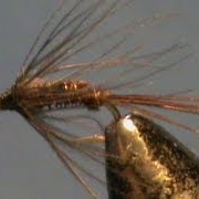 Fly-Tying-a-Pheasant-Tail-Flymph-with-Jim-Misiura