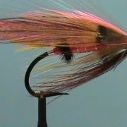 Fly-Tying-a-Pink-Lady-Salmon-Fly-with-Jim-Misiura