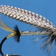 Fly-Tying-a-Silver-Grey-with-Jim-Misiura