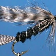 Fly-Tying-for-Beginners-a-Silver-Hilton-with-Jim-Misiura