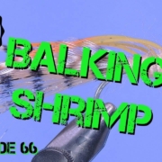 Fly-Tying-the-Balking-Shrimp-Saltwater-Bonefish-and-Permit-Fly-Pattern