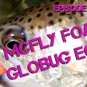 Fly-Tying-the-Mcfly-Foam-GloBug-Egg-Fly-Pattern-for-Steelhead-Salmon-and-Trout