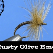 Fly-Tying-the-Rusty-Oliver-Emerger-Fly-Fishing-Pattern-for-Trout-Ep-108-PF