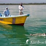 Fly-fishing-for-tarpon-from-Tarponville-Lodge-Costa-Rica