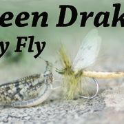 Green-Drake-Mayfly-Dry-Fly-Fly-tying-for-trout
