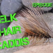 How-to-tie-a-Peacock-Elk-Hair-Caddis-Fly-Pattern-Episode-24-piscator-Flies