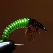 JCs-Electric-Caddis-Larva