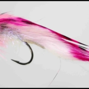 Kystflue-Pink-zonker