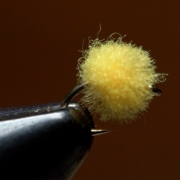 Micro-Egg