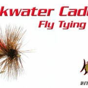 Slickwater-Caddis-Fly-Tying-Video-Instructions