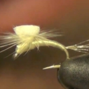 Sprout-Midge-Dry-Fly-Tying-Instructions-and-Recipe