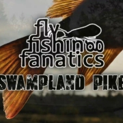 SwampLand-PIKE-2014