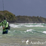 Top-Ten-Reasons-to-Fly-Fish-In-Saltwater