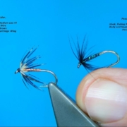 Tying-2-SpiderSoft-Hackle-Wets-by-Davie-McPhail