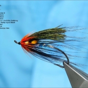 Tying-a-Beauly-Snow-Fly-for-Salmon-and-Steelhead-by-Davie-McPhail