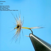 Tying-a-Borders-Greenwels-Spider-DryFly-with-Davie-McPhail