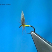 Tying-a-Clyde-Style-Wet-Fly-the-Blae-Ginger-with-Davie-McPhail