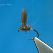 Tying-a-Clyde-Style-Wet-Fly-the-Blae-Hares-Lug-with-Davie-McPhail