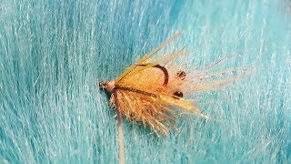 Tying-a-Tarantula-Brush-Hooligan-Crab-triggerfish-fly