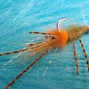 Tying-a-Veverkas-Mantis-Shrimp