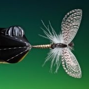 Tying-a-mayfly-spinner-with-Barry-Ord-Clarke