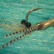 Tying-an-Ultimate-Shrimp