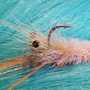 Tying-the-Buck-n-Dubbed-Shrimp