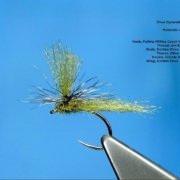 Tying-the-Olive-Dynamite-Harry-with-Davie-McPhail