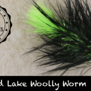 Tying-the-Pyramid-Lake-Woolly-Worm-Cutthroat-Trout-Fly-Ep-95-PF