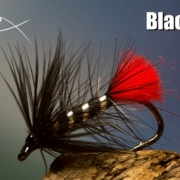 Black-Zulu-classic-wet-fly-tying