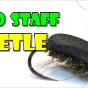 Bro-Staff-Beetle