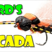 Cards-Cicada-variation-by-Fly-Fish-Food