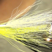 Clouser-Minnow-Saltwater-Fly-Tying-Video-Instructions-and-Directions