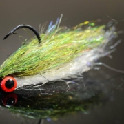 Comb-Over-Minnow-by-Curtis-Fry