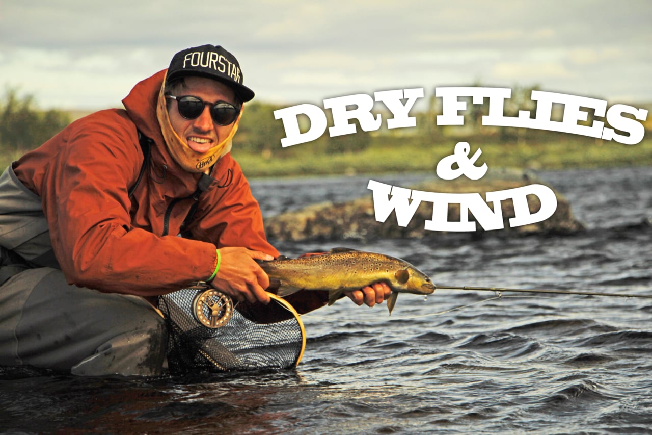 Dry-Flies-Wind-in-Lapland