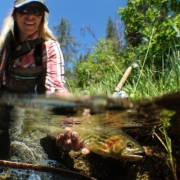 FLY-FISHING-High-Country-Cutthroat-By-Todd-Moen