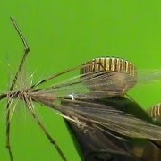 Fly-Tying-An-Adult-Crane-Fly-with-Jim-Misiura