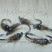 Fly-Tying-Iridescent-Pheasant-Tail-Nymph-Hackles-Wings