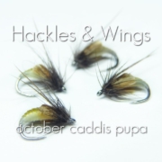 Fly-Tying-October-Caddis-Pupa-Hackles-Wings