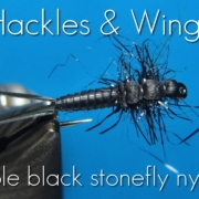 Fly-Tying-Simple-Black-Stonefly-Nymph-Hackles-Wings