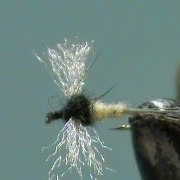 Fly-Tying-Trico-Spinners-with-Jim-Misiura