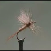 Fly-Tying-a-Brown-Drake-Dry-Fly