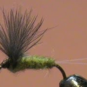 Fly-Tying-a-CDC-Blue-Wing-Olive-with-Jim-Misiura