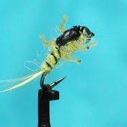 Fly-Tying-a-Golden-Nugget-with-Jim-Misiura