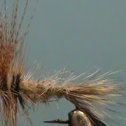 Fly-Tying-a-Hares-Ear-Dry-Fly-with-Jim-Misiura
