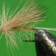 Fly-Tying-a-Little-Yellow-Sally-with-Jim-Misiura
