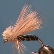 Fly-Tying-an-Olive-Pheasant-Tail-Caddis-with-Jim-Misiura