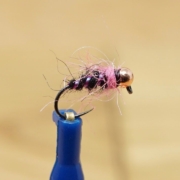Fly-Tying-with-Ryan-Pink-Squirrel-Walts