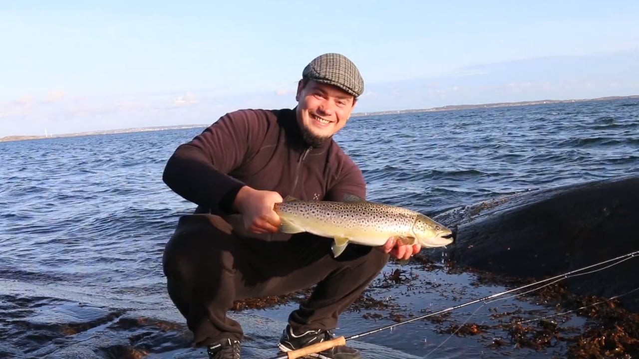 Fly-fishing-for-sea-trout-Sweden