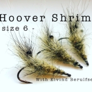 Hoover-Shrimp-size-6.-With-Eivind-Berulfsen
